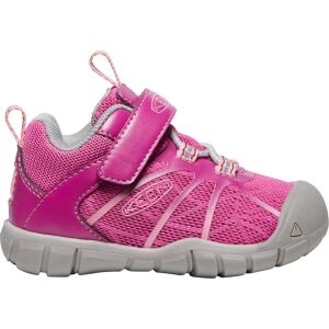  Festival Fuchsia/Ibis Rose