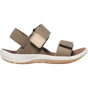  Brindle/Star White